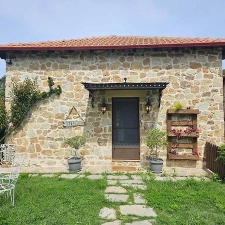 Stone Villas Νέα Ρόδα Εξωτερικό φωτογραφία